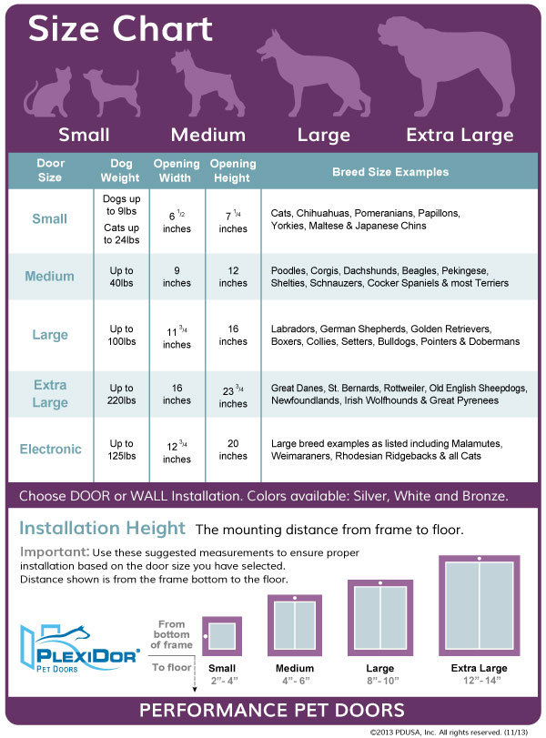 Pet Door Buying Guide Wayfair